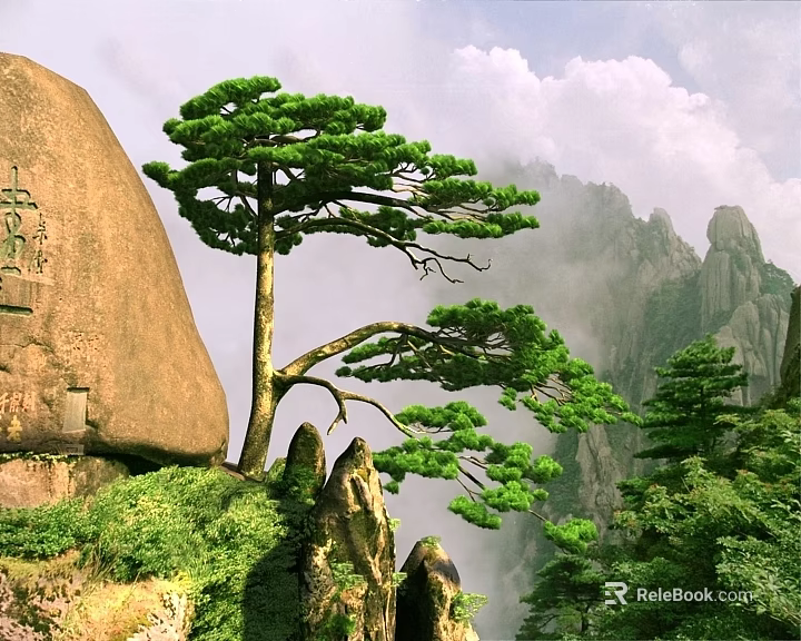 Tall Pine Tree in Mountain Landscape With Large Rock And Misty Clouds And Green Vegetation 3d model 