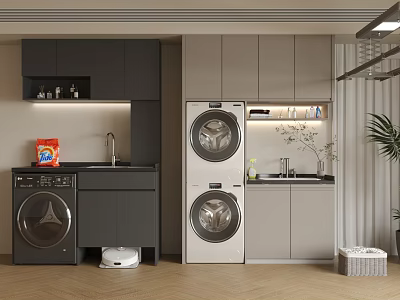 Balcony Cabinet With Washing Machine Dryer Sink And Modern Storage Interior Design 3d model