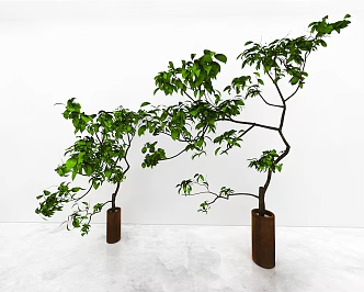 green plant 3d model