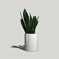 Stylish Potted Plant with Green Long Leaves in White Pot on Light Gray Background