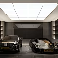 Modern Garage With Two Luxury Cars And Shelves