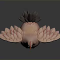 Pink Chicken with Red Comb Grey Tail Feathers Spread Wings and Yellow Feet Standing