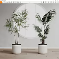 Indoor Decorative Potted Plants With White Pots And Circular Mirror On Light Wall