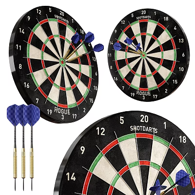 Professional Dartboards with Blue Darts Numbers 1 to 20 and Rogue Snowdarts Design 3d model