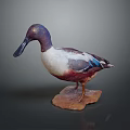 Detailed Blue Headed Duck Figurine With White Brown Feathers On Stone Base