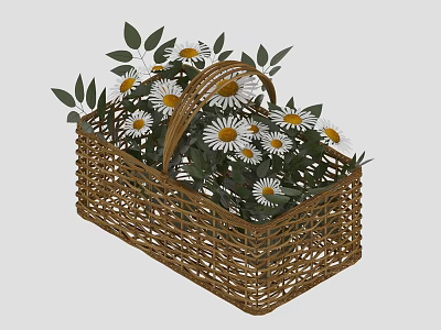 Fresh White Daisies And Green Leaves In Wicker Basket For Home Decoration 3d model