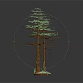 Two Trees with Brown Trunks Green Leaves and Mossy Base 3D Render