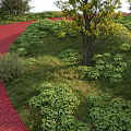 Beautiful Flowers and Plants Along Red Path in Green Grassy Landscape With Trees