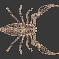Scorpion With Large Pincers Curved Tail Segmented Tan Body In Natural Stance