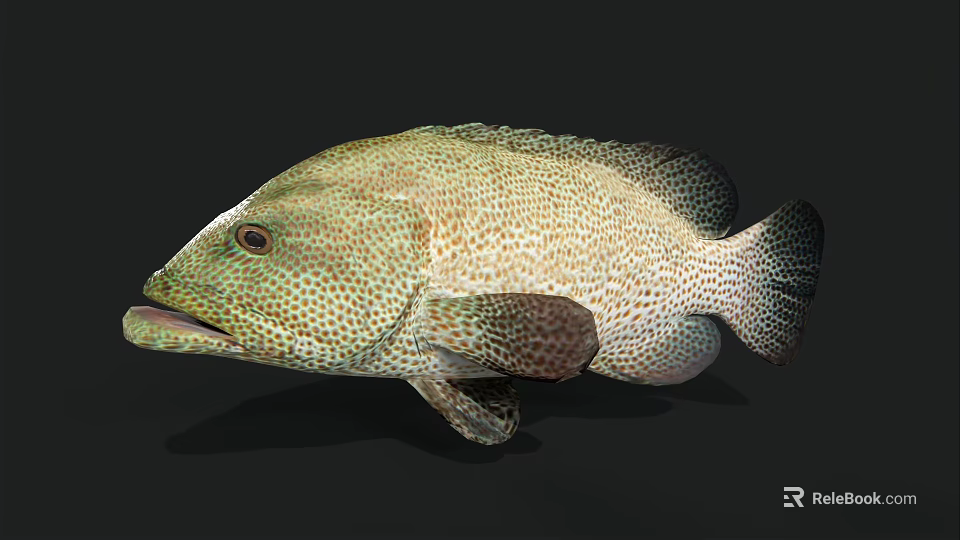 Spotted Green Grouper With Shiny Scales Oval Body Large Mouth And Dark Fins 3d model 