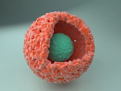 Abstract Sculpted Sphere With Red Textured Outer Layer And Green Inner Core 3d model