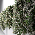 Living Green Plant Wall Design With Lush Vertical Greenery And Indoor Natural Elements