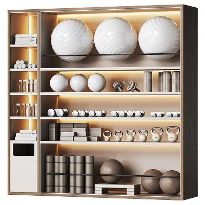 Home Gym Storage With Various Fitness Equipment 3d model