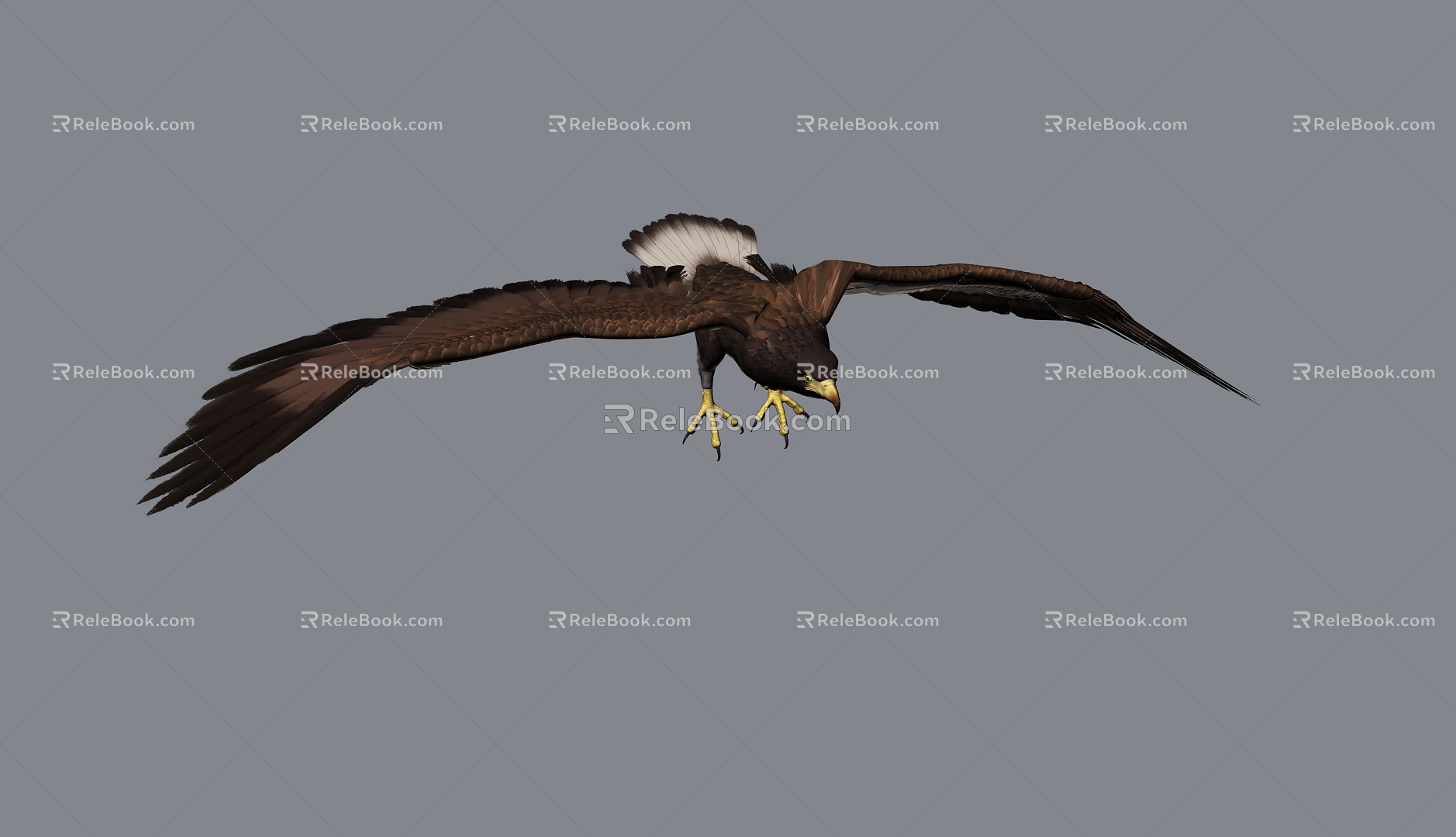 Modern Eagle 3d model