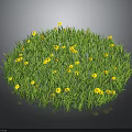 Lush Circular Green Grass With Bright Yellow Flowers On Dark Background