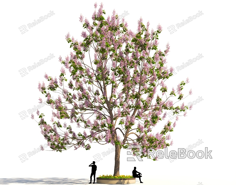 Paulownia purple tree landscape street tree park sketch model