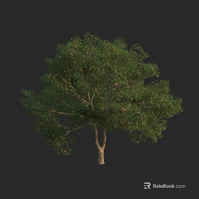 Lush Green Arbor With Dense Canopy Strong Trunk And Natural Foliage 3d model 