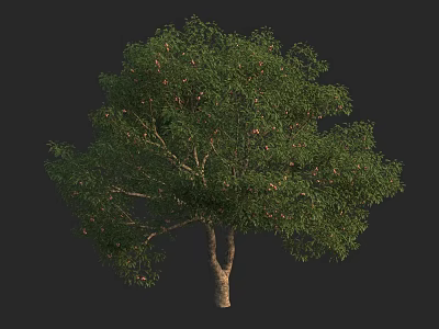 Lush Green Arbor With Dense Canopy Strong Trunk And Natural Foliage 3d model