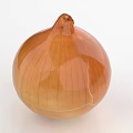Fresh Whole Brown Onion with Natural Skin Texture on White Background