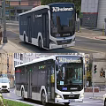 City Buses Operating On Urban Streets With Pedestrians And Cars