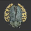Vibrant Blue and Yellow Beetle with Spotted Shell and Intricate Body Details