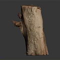 Unique Raw Natural Wood Decorative Piece With Knot And Textured Surface