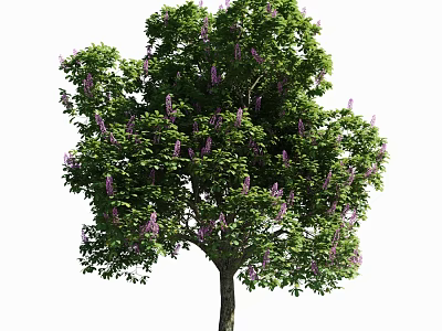 Lush Arbor With Green Leaves And Purple Flowers In Full Bloom 3d model