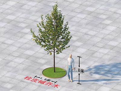 Arbor With 1.8 Meters Height And 3 Meters Crown Cross Section With Human Figure 3d model