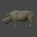 Detailed Realistic 3D Rhinoceros Model With Horns Standing On Black Background