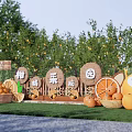 Vibrant Citrus Festival Scene In Orchard With Fresh Citrus Baskets And Wooden Signs