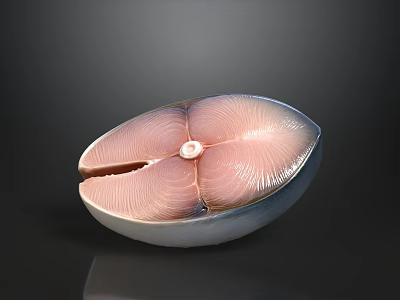 Fresh Raw Fish Fillet With Pink White Texture And Center White Circle On Dark Background 3d model