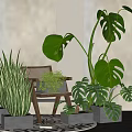 Indoor Decorative Potted Plants Including Monstera And Snake Plant In Home Setting