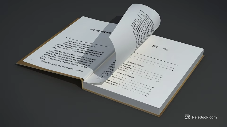 Open Book With Curled Page Showing Text Content And Chapter Layout 3d model 