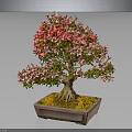 Bonsai Tree With Pink Flowers In Square Light Brown Pot Against Gray Background