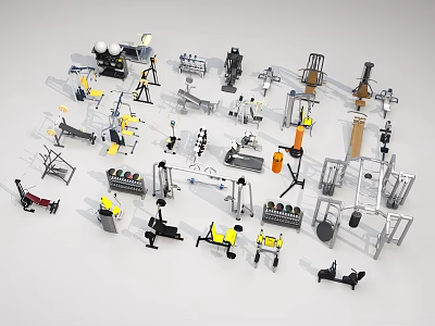 Diverse Sports Equipment Collection Including Dumbbells Barbells Treadmills And Fitness Machines 3d model