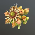 3D Model Flower With Yellow Orange Petals Green Center And Unopened Buds