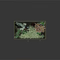 Stunning Aquarium with Vibrant Red Fish Green Aquatic Plants Rocks and Blue Water Background