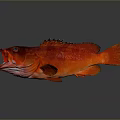 Red Fish Decorative Item For Modern Home Living Room Household Decoration