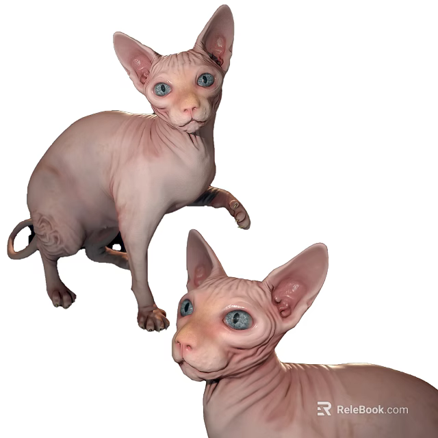 Two Hairless Reptiles With Bright Blue Eyes On White Background 3d model 