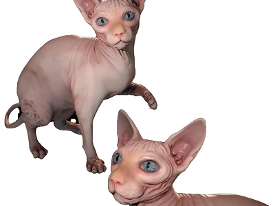 Two Hairless Reptiles With Bright Blue Eyes On White Background 3d model