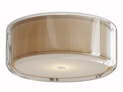 Modern Round Ceiling Light With Transparent Cover And Ribbed Design Soft Lighting 3d model