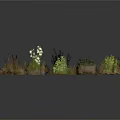 Diverse Collection of Natural Plants Featuring Grasses Shrubs and Foliage