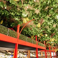 Large Indoor Arbor With Green Leaves Yellow Fruits Red Pillars Long Tables In Dining Space