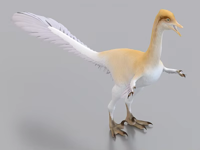 Yellow And White Feathered Dinosaur With Long Tail Feathers Spread Wings Standing Posture 3d model