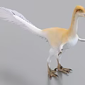 Yellow And White Feathered Dinosaur With Long Tail Feathers Spread Wings Standing Posture 3d model