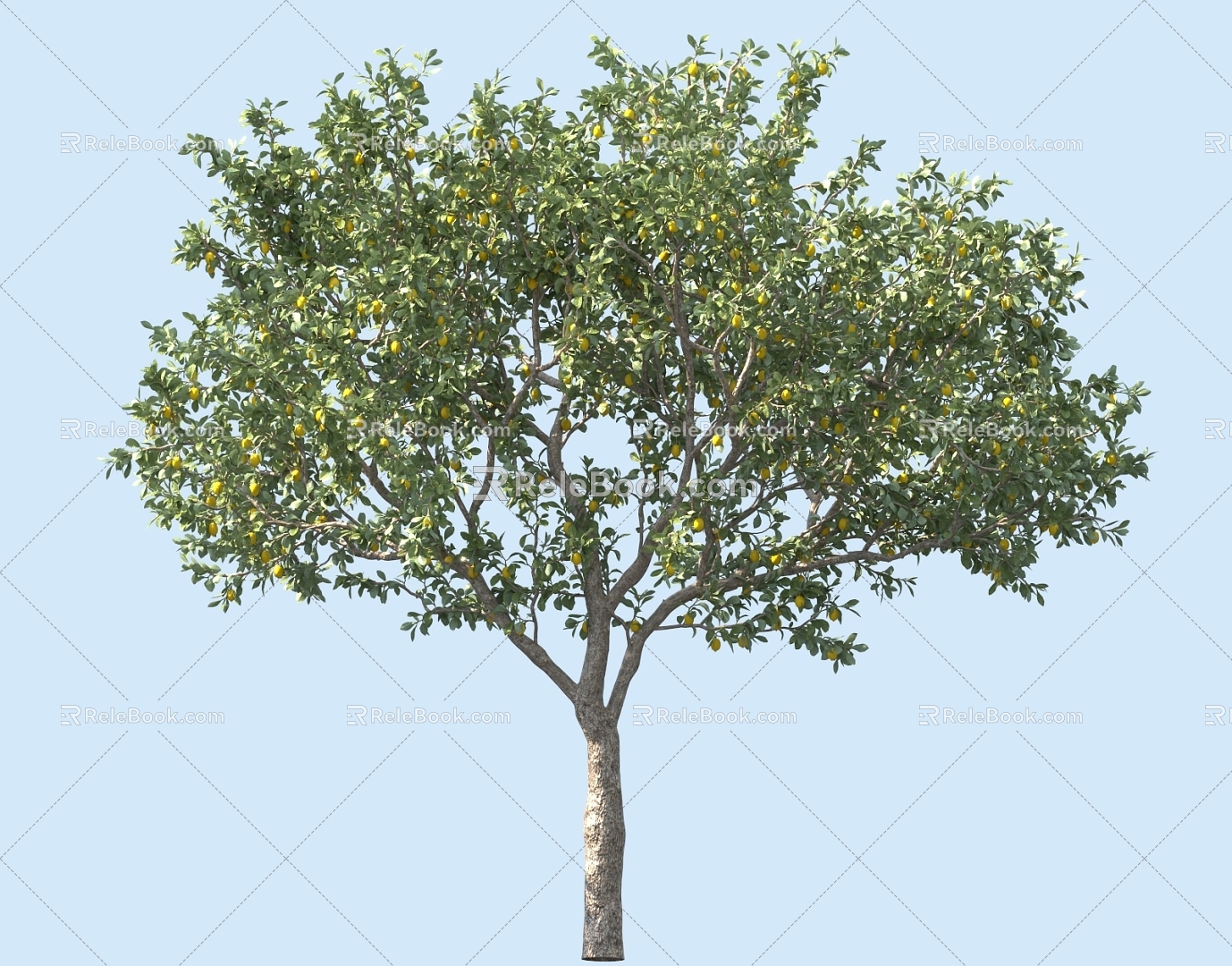 Lemon Tree Garden Flower Tree Landscape Tree Shrubs Flower Tree model