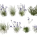 Vibrant Garden Flowers With Purple Blooms Green Grass And Bushes