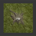 3D Terrain Model With Green Grass Covered Mountain And White Peak