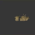 Golden Grass Plants with Various Shapes and Heights on Dark Background with Ground Reflection