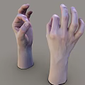 Human Hands and Arms Posed in OK Gesture Displayed on Gray Background 3d model